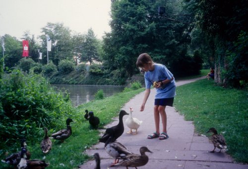 Sally feeding ducks