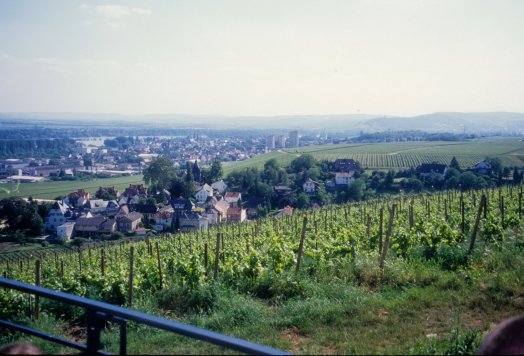 view of the Rhein