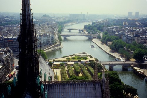 view from Notre Dame