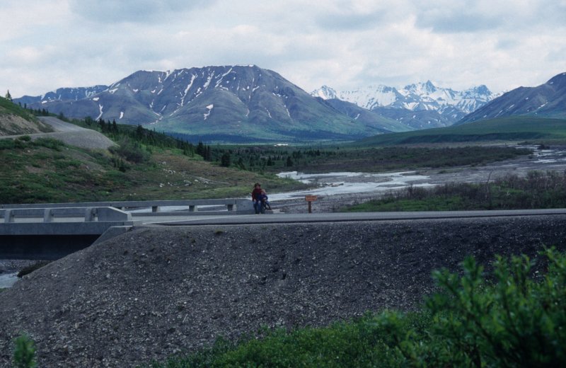 by the roadway