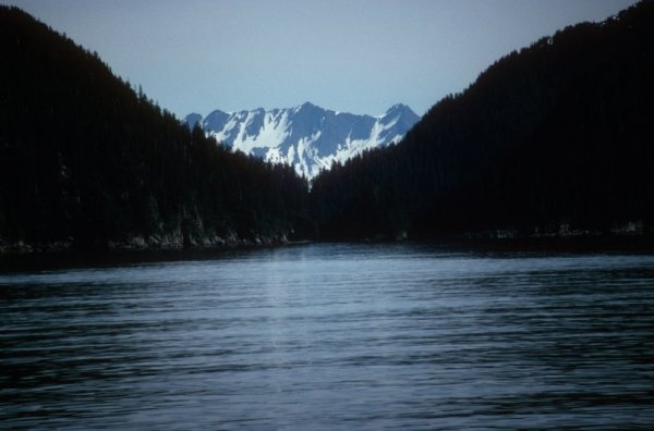 Alaska panorama