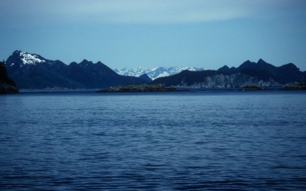 cruise panorama