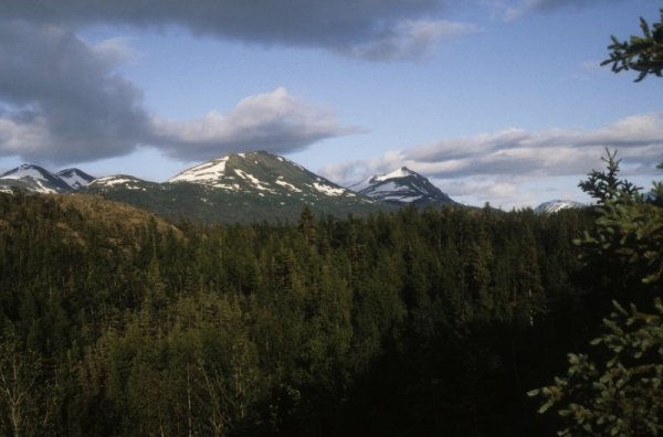 scenery at Hidden Lake