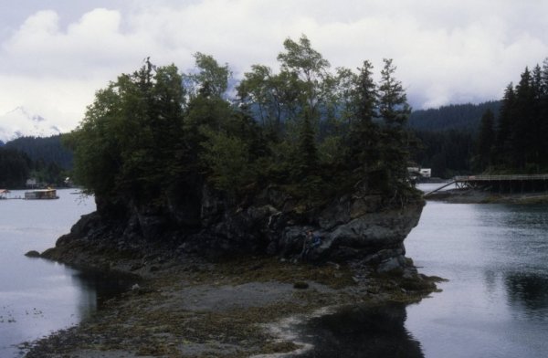 scene at Halibut Cove