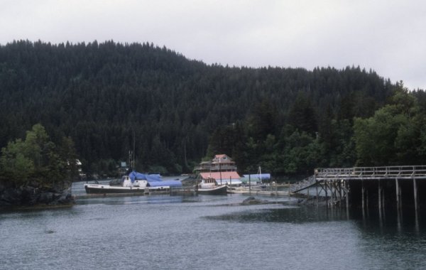 Halibut Cove