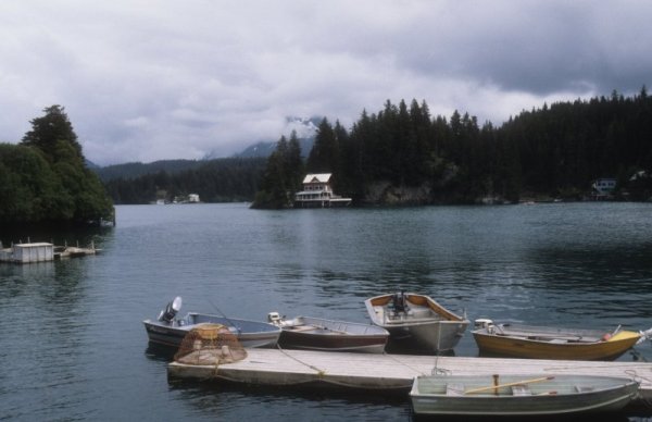 Halibut Cove