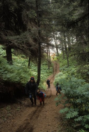 family on the trail