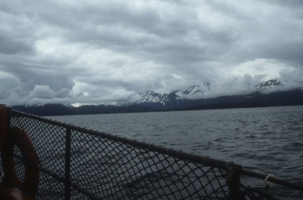 view from the boat