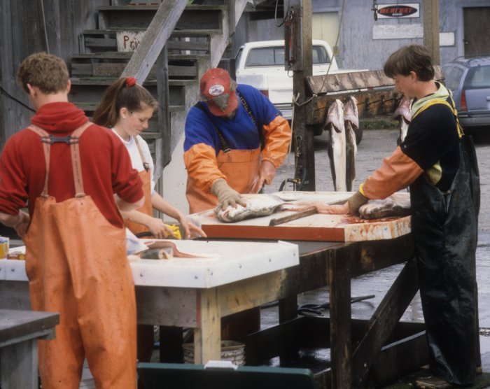 halibut fishery