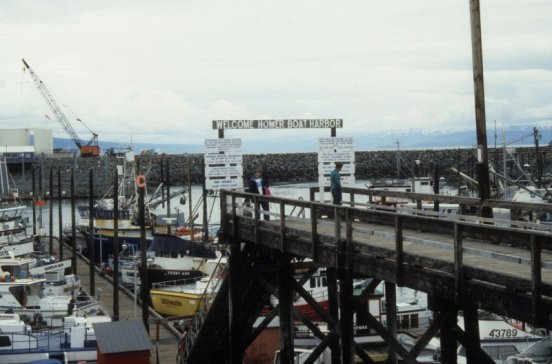 Homer harbor