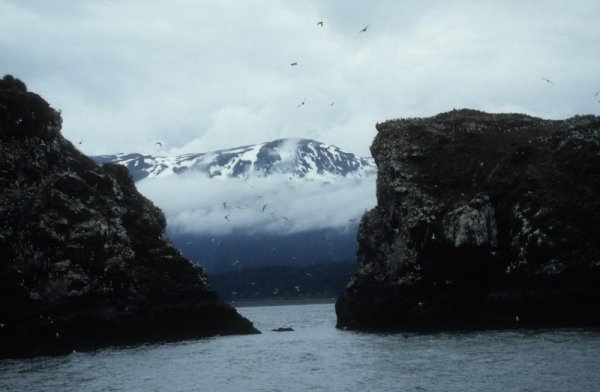 view from the boat