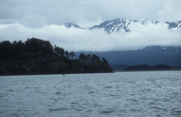 view from the boat