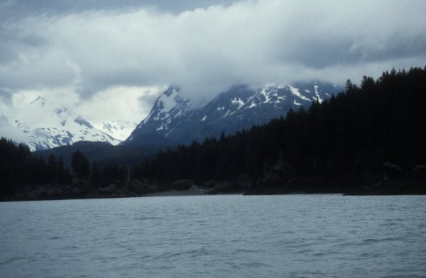 view from the boat