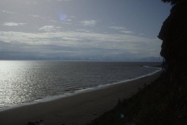 Cook Inlet beach