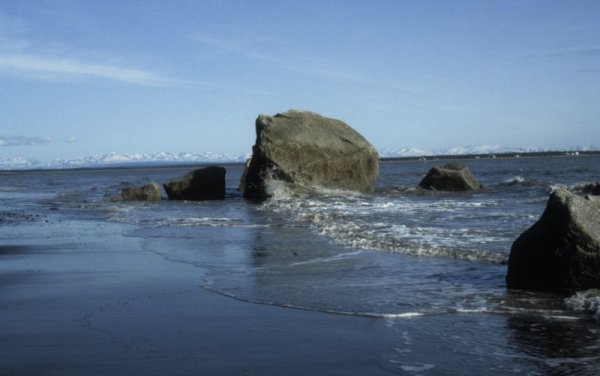 rocks on the beach