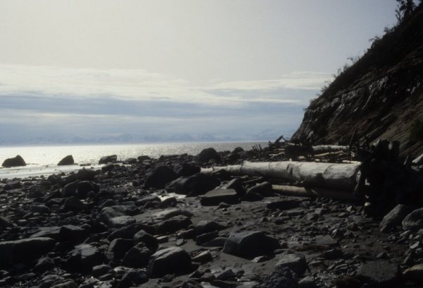 rocks on the beach