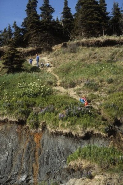 kids on the cliff