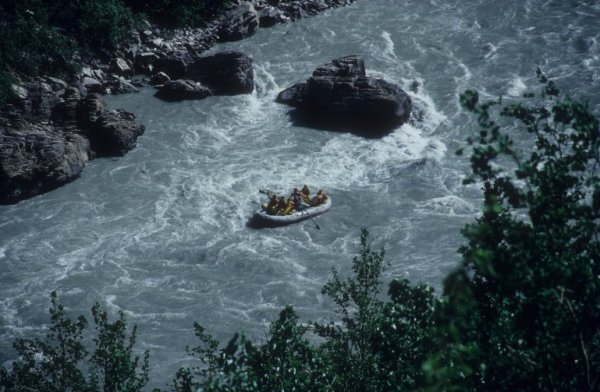 rafters waving