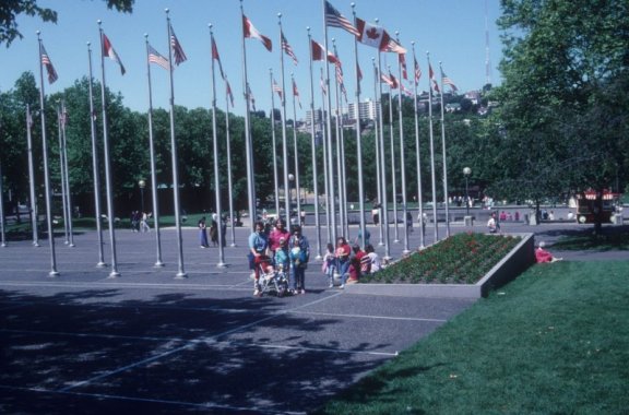 flags in the park