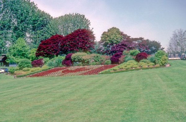 Canada flag garden