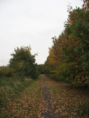 footpath to Duxford