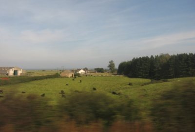 out the train window