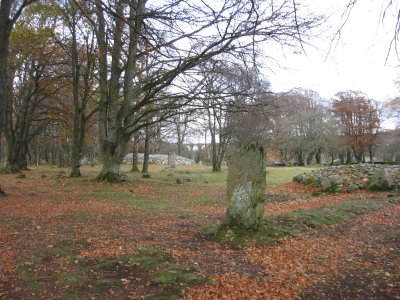Clava Cairn site with viaduct in the distance