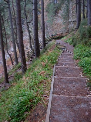 trail to Falls of Foyers
