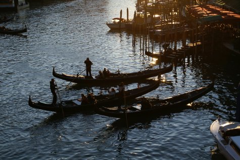 gondolas on the Grand Canal