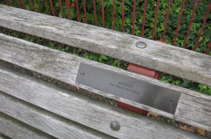 sign on bench in Battersea Park