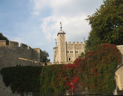 Tower complex and vines in Sept.
