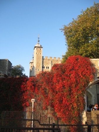 Tower complex and vines in October
