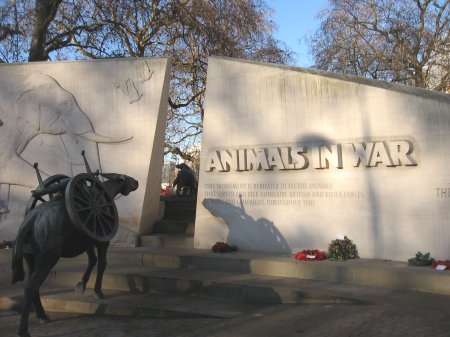 Animals in War Memorial