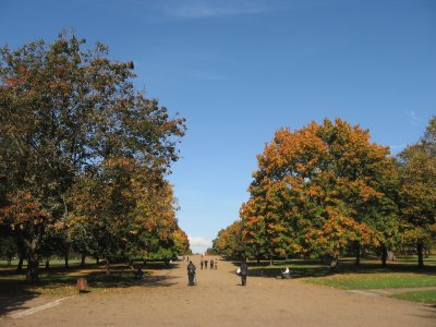 Hyde Park in October