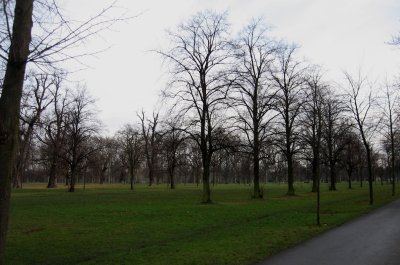 Hyde Park in December