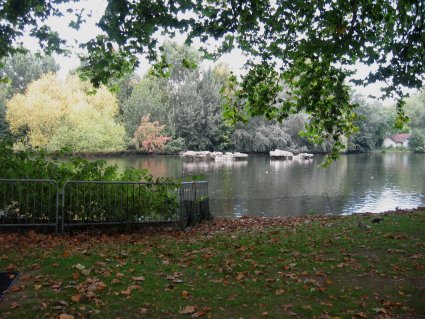 St. James's Park pond