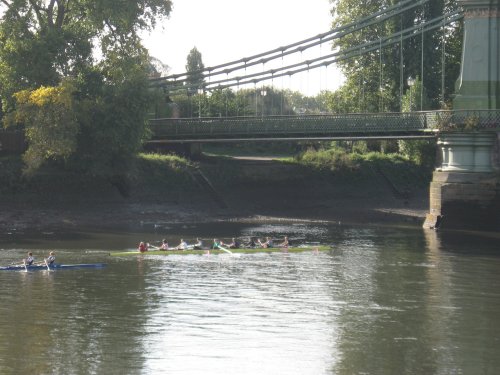 rowers at Hammersmith Bridge