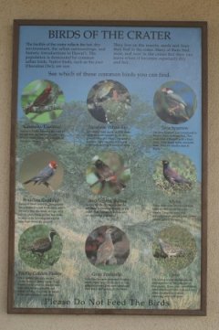 Bird chart