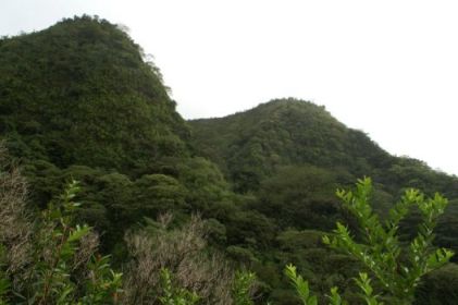 Manoa Valley