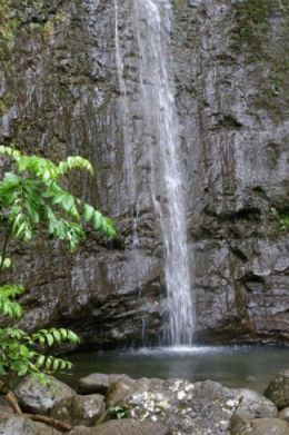 Manoa Valley waterfall