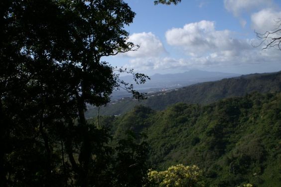 View from Manoa Valley trail