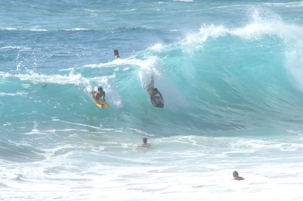Sandy Beach surfers