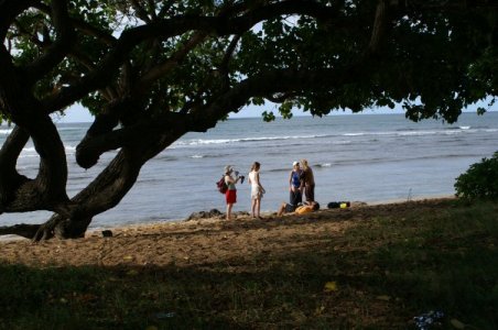 Family, beach and trees