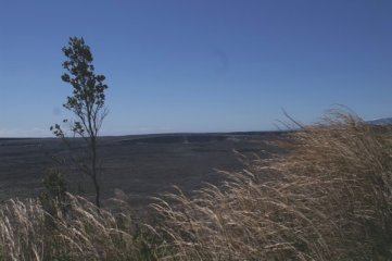 Grass and crater
