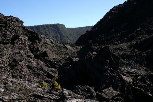Kilauea Iki lava