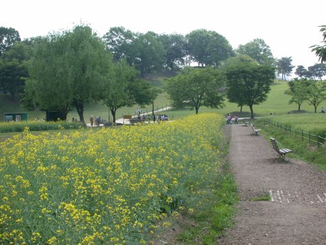 path in the Park