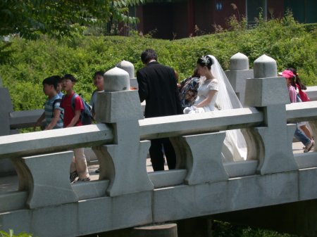 wedding pictures being taken