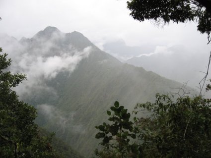 Peru masquerading as New Zealand